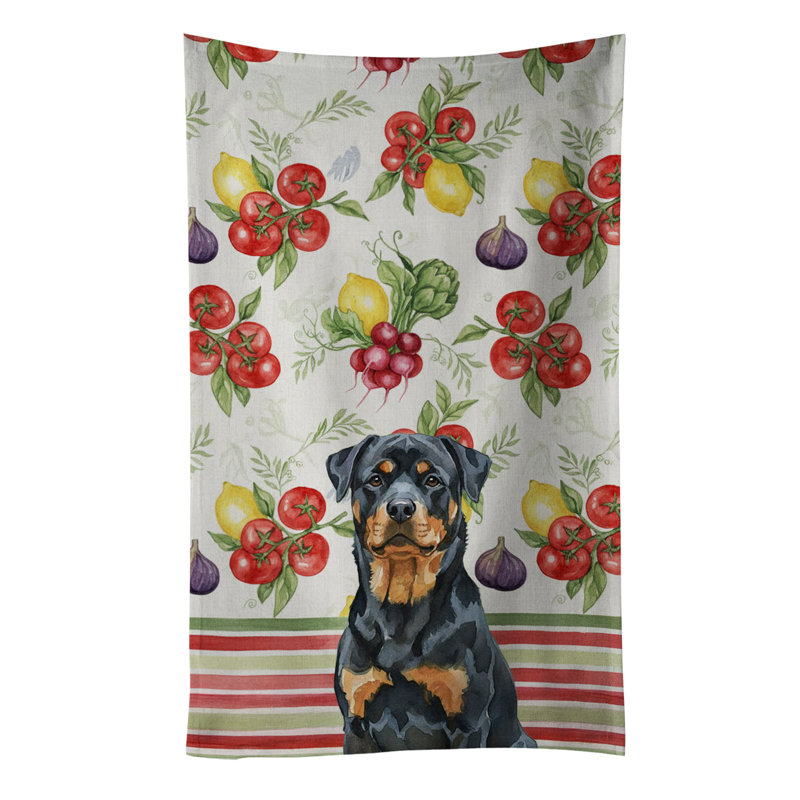 Torchon Rottweiler, Rottweiler