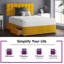 Fales Upholstered Drawers Bed-1706003268-1706003275-1706003285