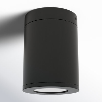 Brissia Frosted Cylinder Outdoor Flush Mount