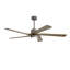 Ventilateur de plafond standard à DEL à 5 pales Athanafis avec télécommande et ensemble d'éclairage inclus-604519521-664920894-625809388
