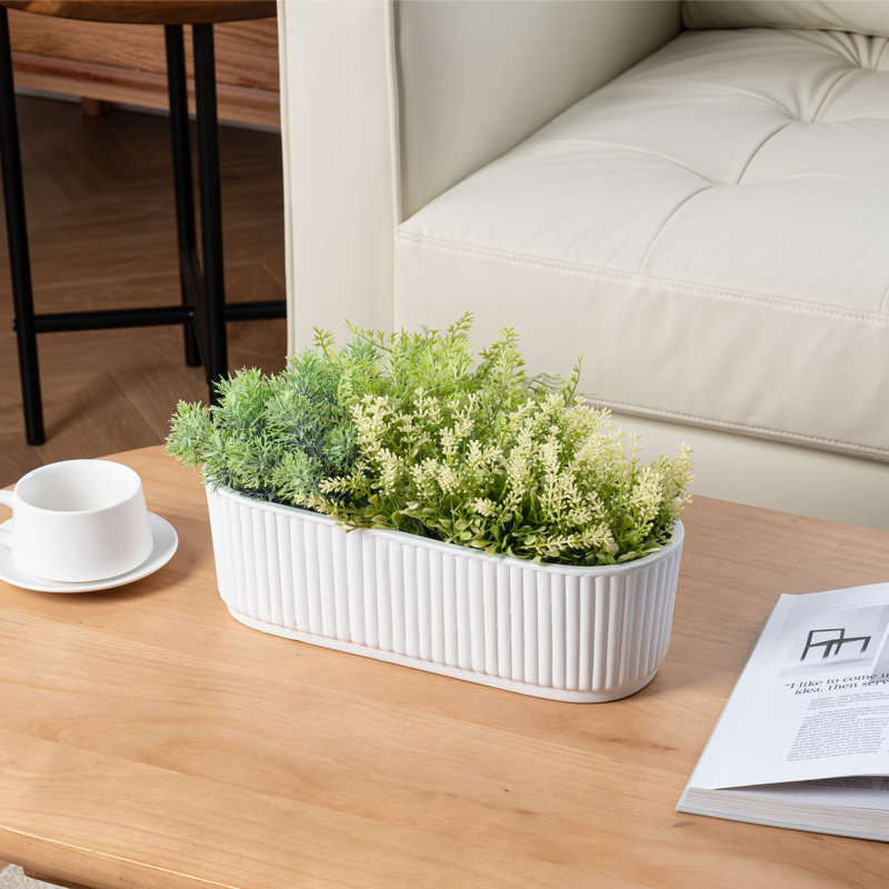 Pot à fleurs d'intérieur en céramique blanc avec plateau