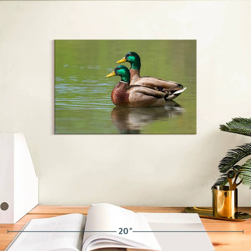Couple de canards colverts Brampt, H 8 po x l 12 po