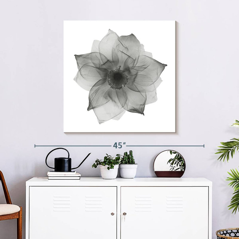 Harnek Lotus Flower X Ray