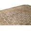 Oriental Area Rug in Brown
