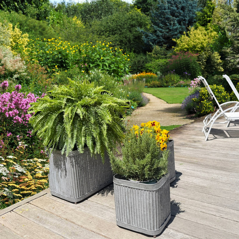 3 Piece Randolph Rectangular Planters, 21.5"