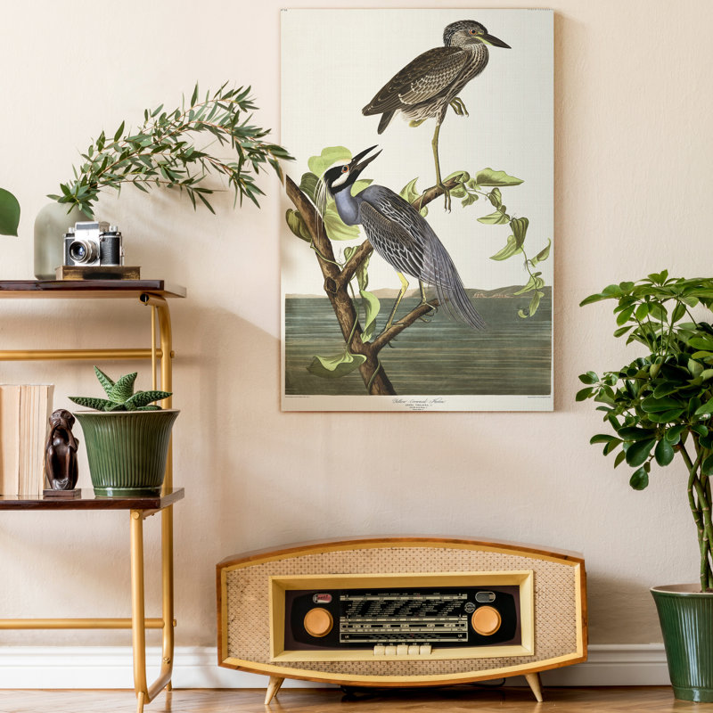 Pl 336 héron à couronne jaune - reproduction sur toile tendue, H 27 po x l 18 po x P 1 po