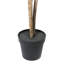 Arbre Dracaena Marginata artificiel en pot 67 po