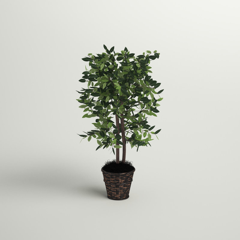 48'' Faux Tree in Wicker/Rattan Basket