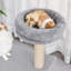 Pattie 243.84cm H Cat Tree
