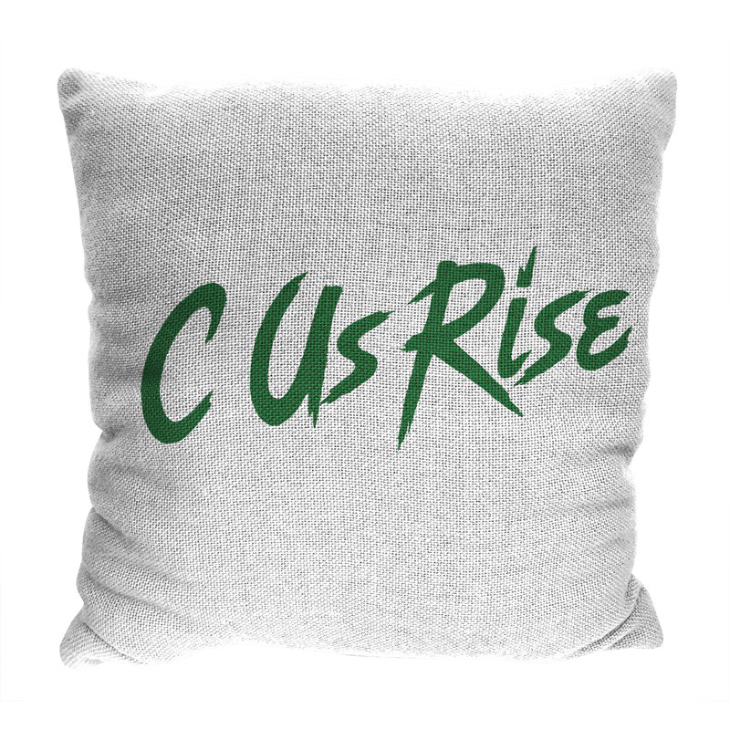 Outdoor Reversible Pillow Cover