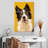 Brampt Adorable Border Collie-108545518