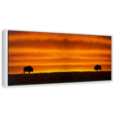 Lever de soleil sur les bisons