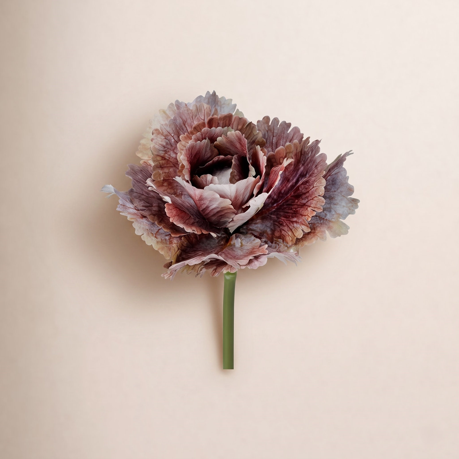 10" Autumn Cabbage Stem, Purple