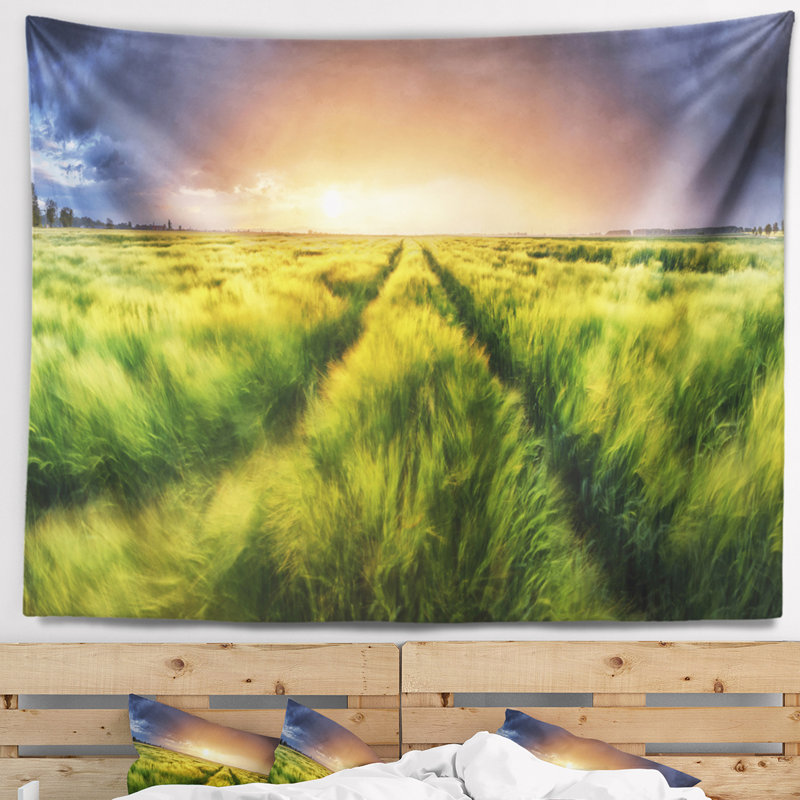 Tapisserie paysage tempête et lumière sur le pré, H 32 po x l 39 po