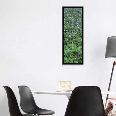" High angle view of plants, Bluebonnets, Austin, Texas, USA " Color Photography Print