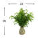Maitland, faux arrangement Nandina