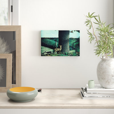 Fawn And Squirrel - Wrapped Canvas Print