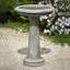 The Essential Birdbath-13918336