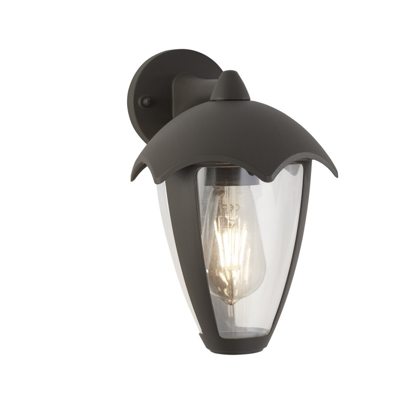 Nadler 26cm H Outdoor Wall Lantern