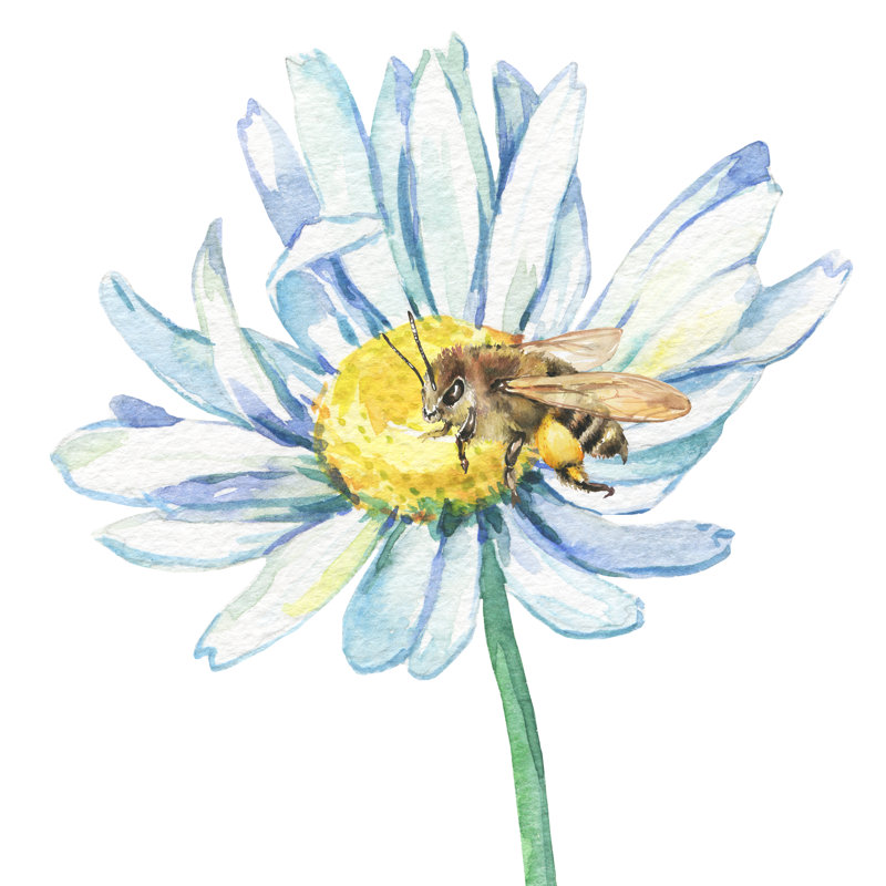 The Branches Flowering Daisies by Arxichtu4Ki - Wrapped Canvas Painting, 51cm H x 51cm W