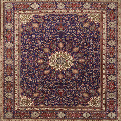 Dollman Oriental Indoor Rug