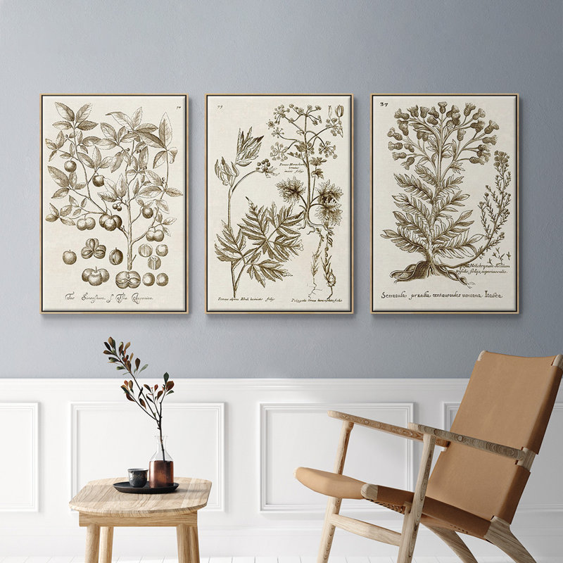«Sepia Botanical Journal I», ensemble de 3 reproductions encadrées sur toile, Naturel, H 36 po x l 72 po