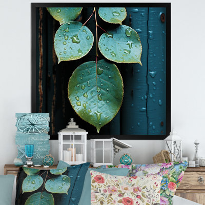 Harmonie de photos de feuilles aqua - Herbes, impressions sur toile