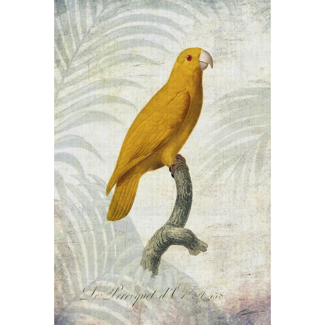 Parrot Jungle V by John Butler - Wrapped Canvas Painting