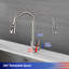 Robinet de cuisine Rainlex-100822135