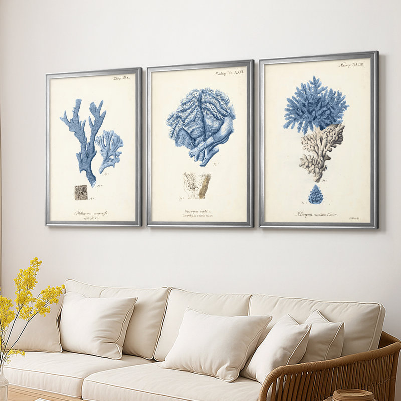 Corail antique en bleu marine - Toile tendue avec châssis sur mesure - 3 pièces, H 21 po x l 30 po, Argent argent