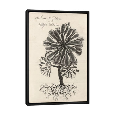 « thornton plantes grasses iv », reproduction d’art sur toile