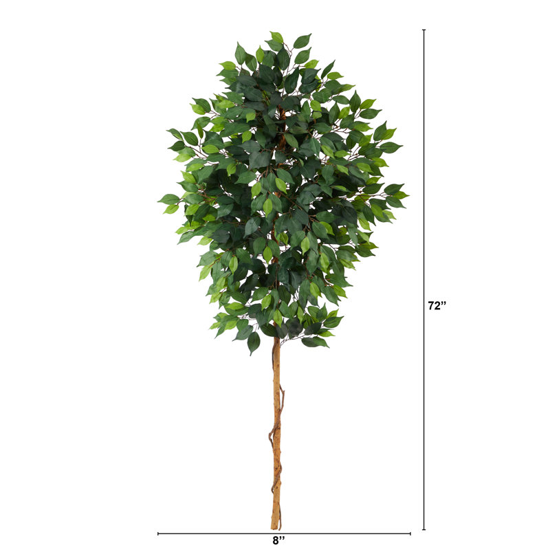 Elegant 6ft Ficus & Fern Mix Artificial Potted Tree