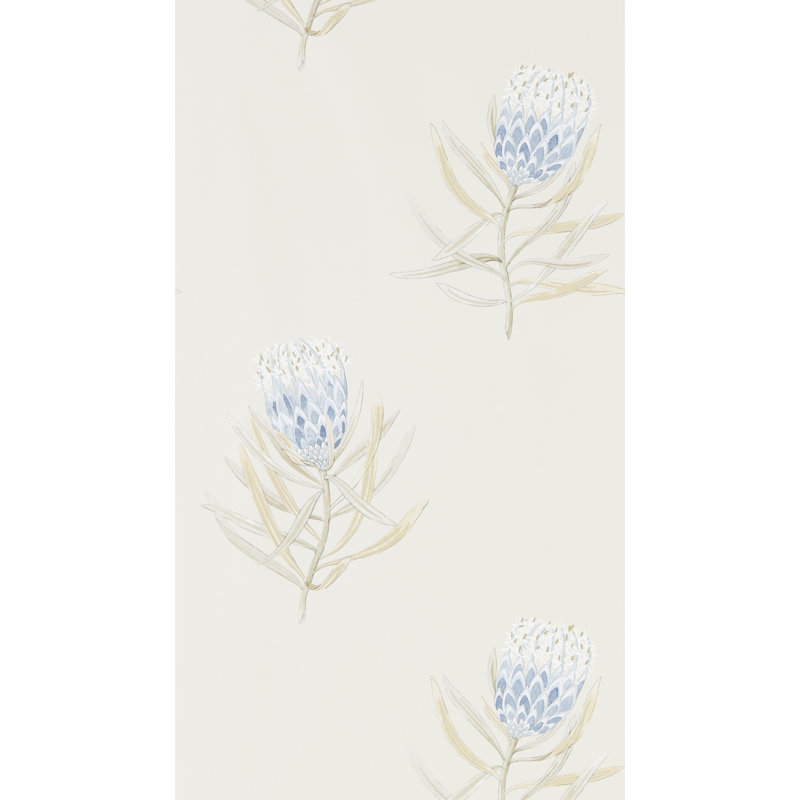 Protea Flower, Neutral/Blue