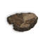 Cast Naturals Petrified Wood Wall Décor