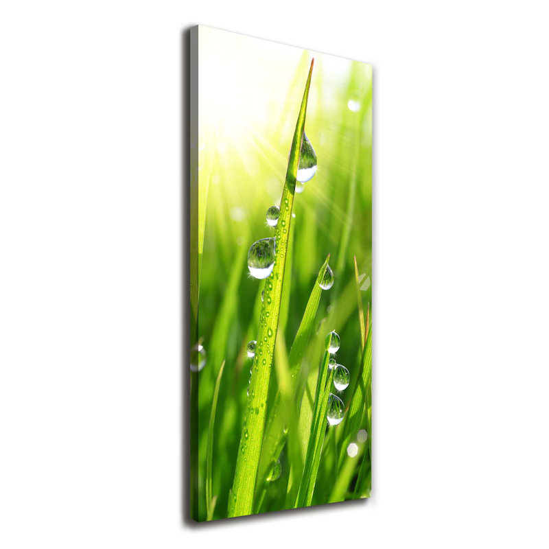 Blades Of Grass - Wrapped Canvas Print