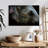 Asian Elephant Eye-107705498