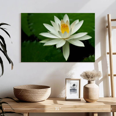 Harnek White Lotus Flower