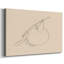 Toile tendue Citrus Contour II-Gallery-93551375