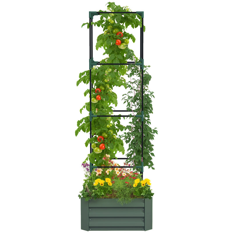 Galvanized Raised Garden Bed with 4-Tier Trellis Tomato Cage Green, 73.6" H x 19.2" W, Green