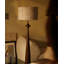 Beige-blanc + polyester brun-noix + lampes sur pied de forme libre en acier au carbone