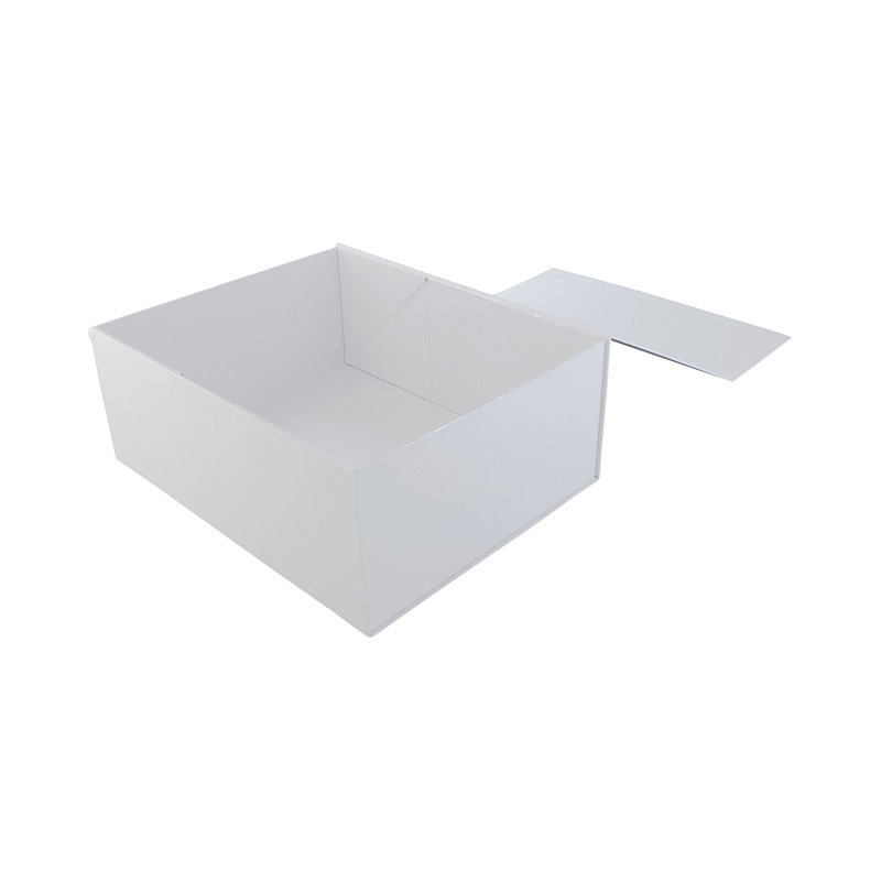 Paper Disposable Tableware
