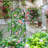 Charmagne 82.6'' H x 19.7'' W Iron Arched Trellis
