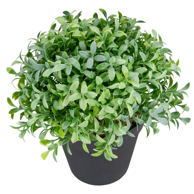Buis artificiel vert en pot 7,5 po