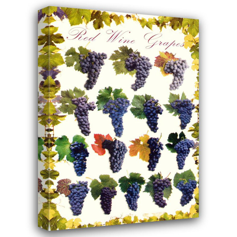 Vignes de raisin, H 18 po x l 12 po
