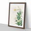 Lilies by Ohara Koson - Picture Frame Painting Print-55582674-55582673
