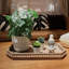 Plateau de table Farmhouse Brown