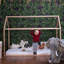 Farrar European Single (90 X 200 Cm) Standard House Beds