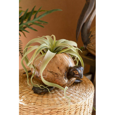 Ensemble de 2 pots à fleurs en forme de tortue Kalalou