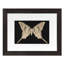 Flutter 8 Print by Todaro, Katie