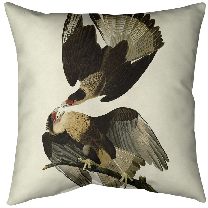 Housse de coussin brasilian caracara eagle, 20 po x 20 po, Blanc cassé / brun, Polyester filé